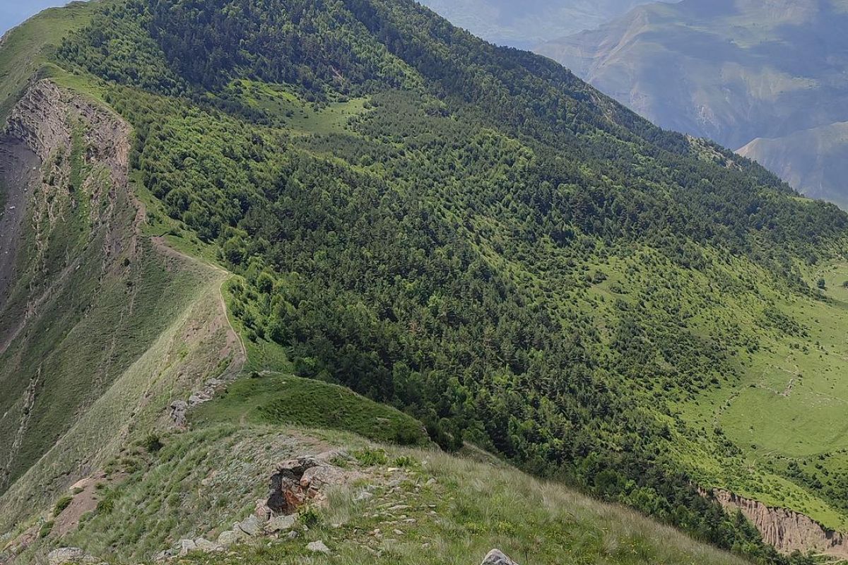 Горы, диско, песни 5 дней