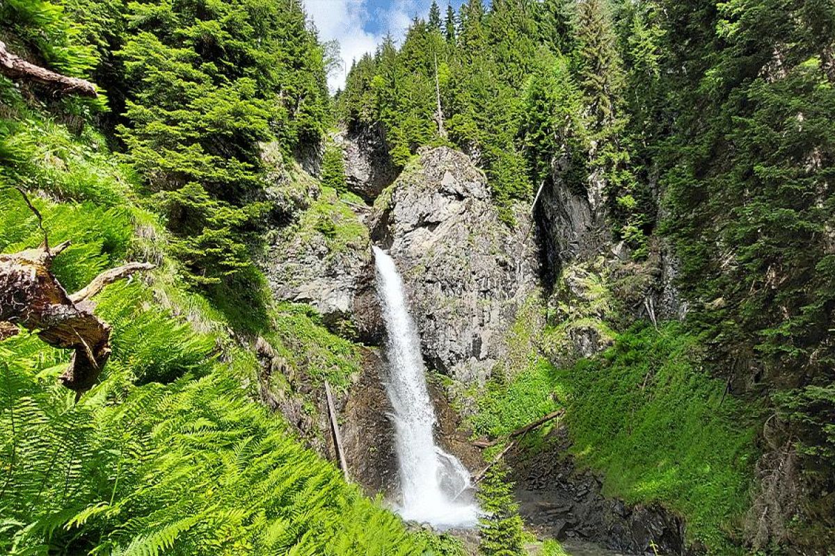 Горный лагерь в Дамхурце