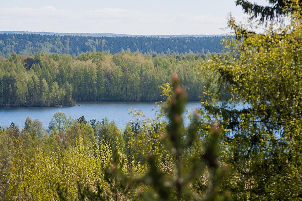 Экскурсионный тур из Петрозаводска "Душа Карелии: фьорды, горы и водопады"