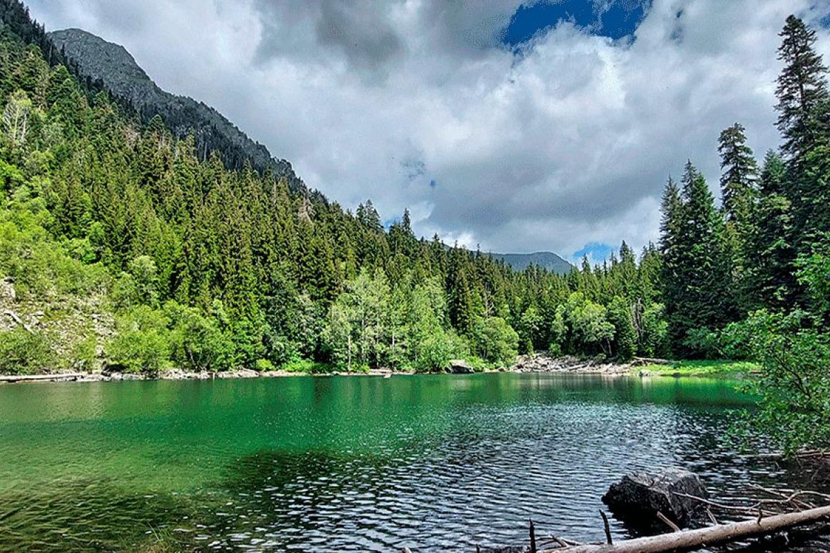 Горный лагерь в Дамхурце