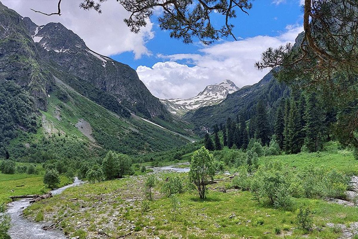 Горный лагерь в Дамхурце
